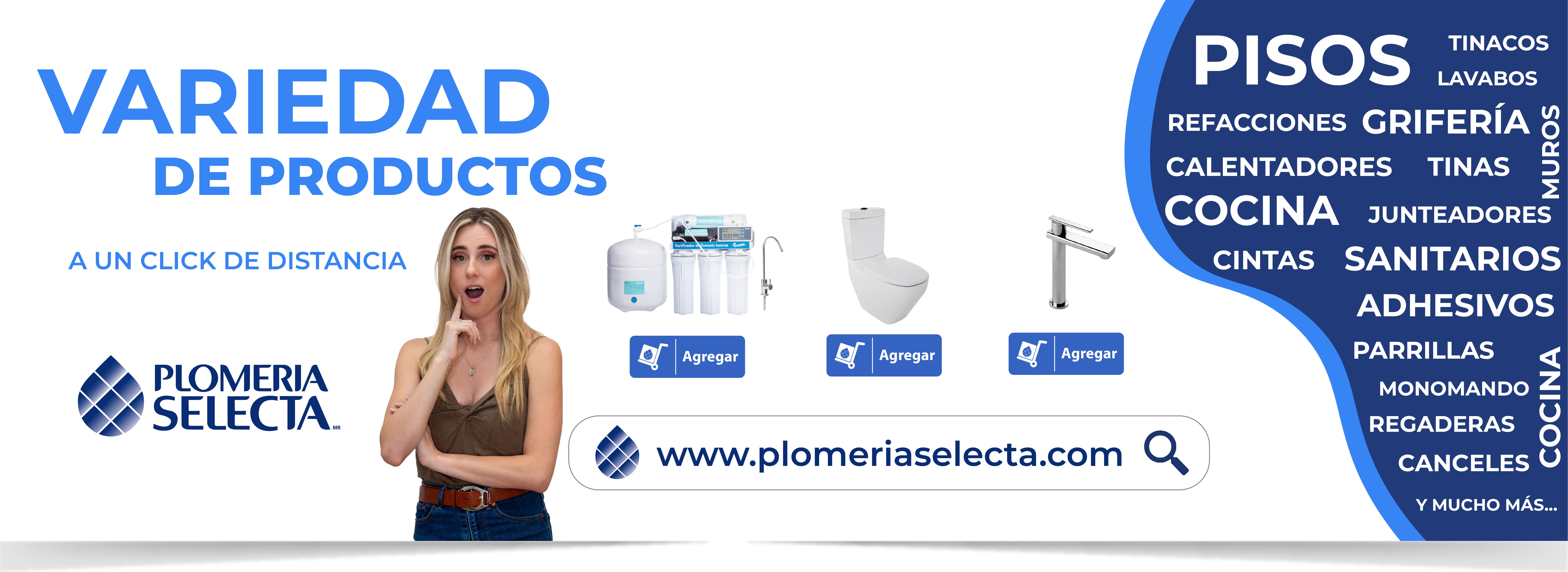 Plomeria selecta banners